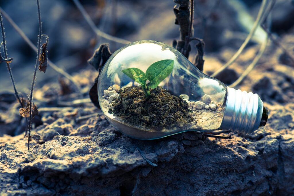 pexels-photo-1108572 A small plant sprouts in soil inside a light bulb, symbolizing eco-friendly and sustainable growth.
